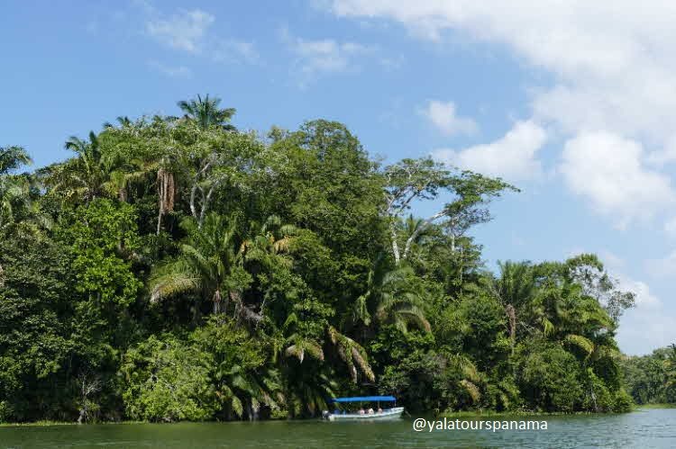 Boat tour at Panama Canal Gatun Lake Yala Tours Panama