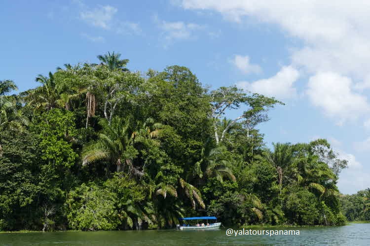 Boat tour at Panama Canal Gatun Lake Yala Tours Panama