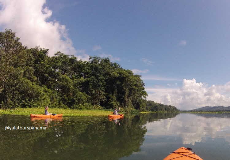 kayak Chagres River Soberania National Park