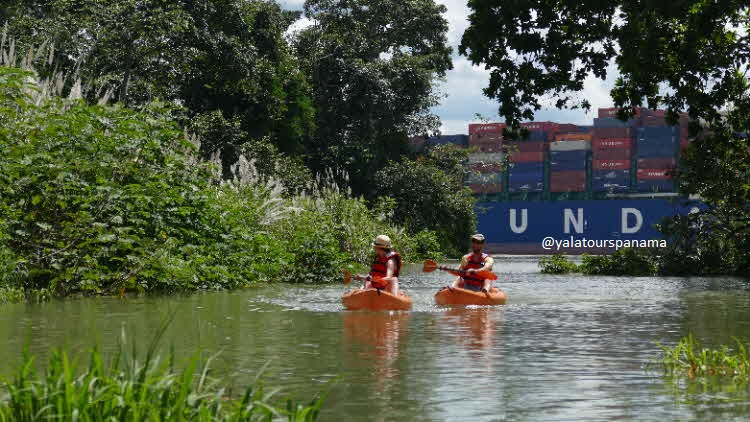 Kayak on the Panama Canal